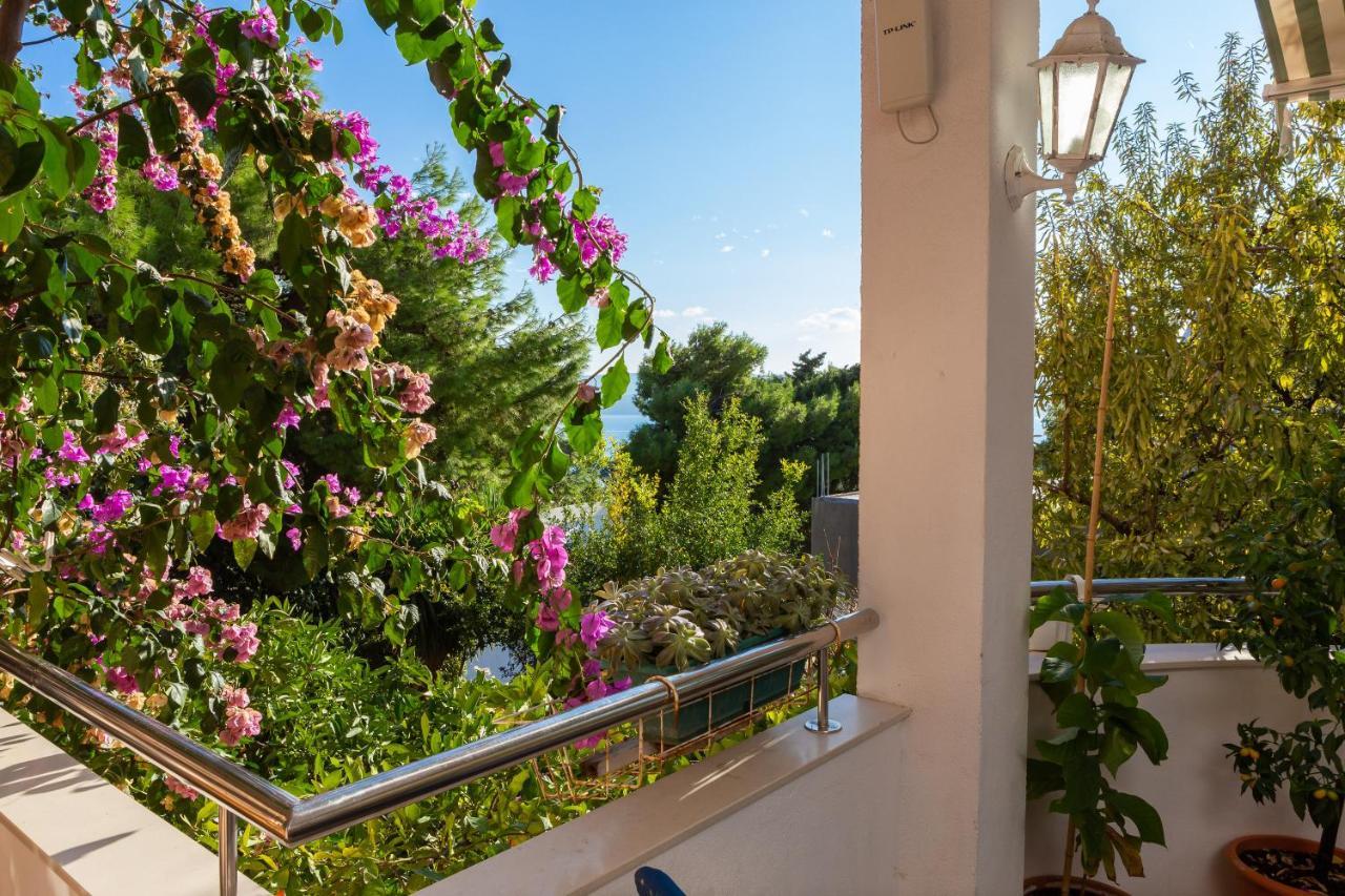Villa Marko Stanici Экстерьер фото